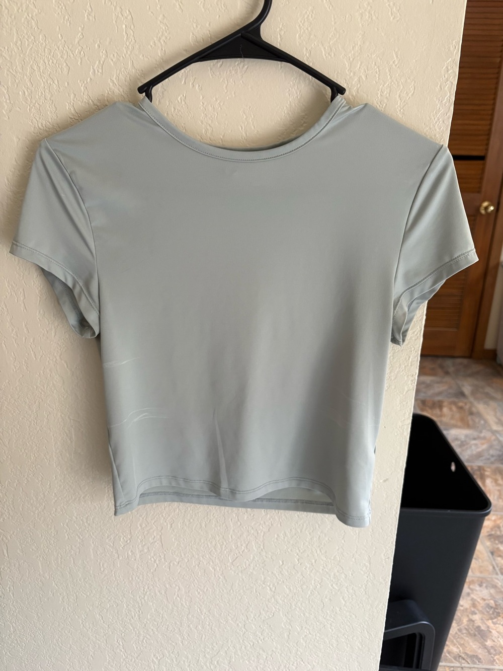 Divided Light Sage Crop Tee